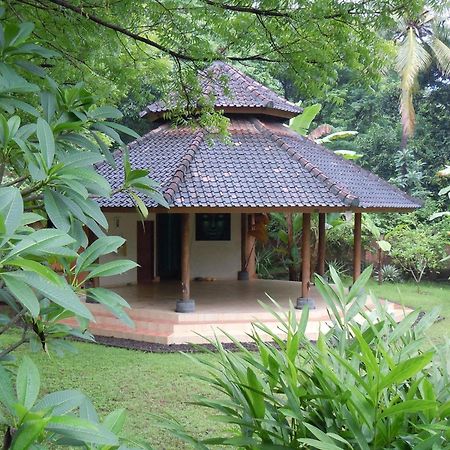 Sananda Bungalow Lovina  Exterior photo
