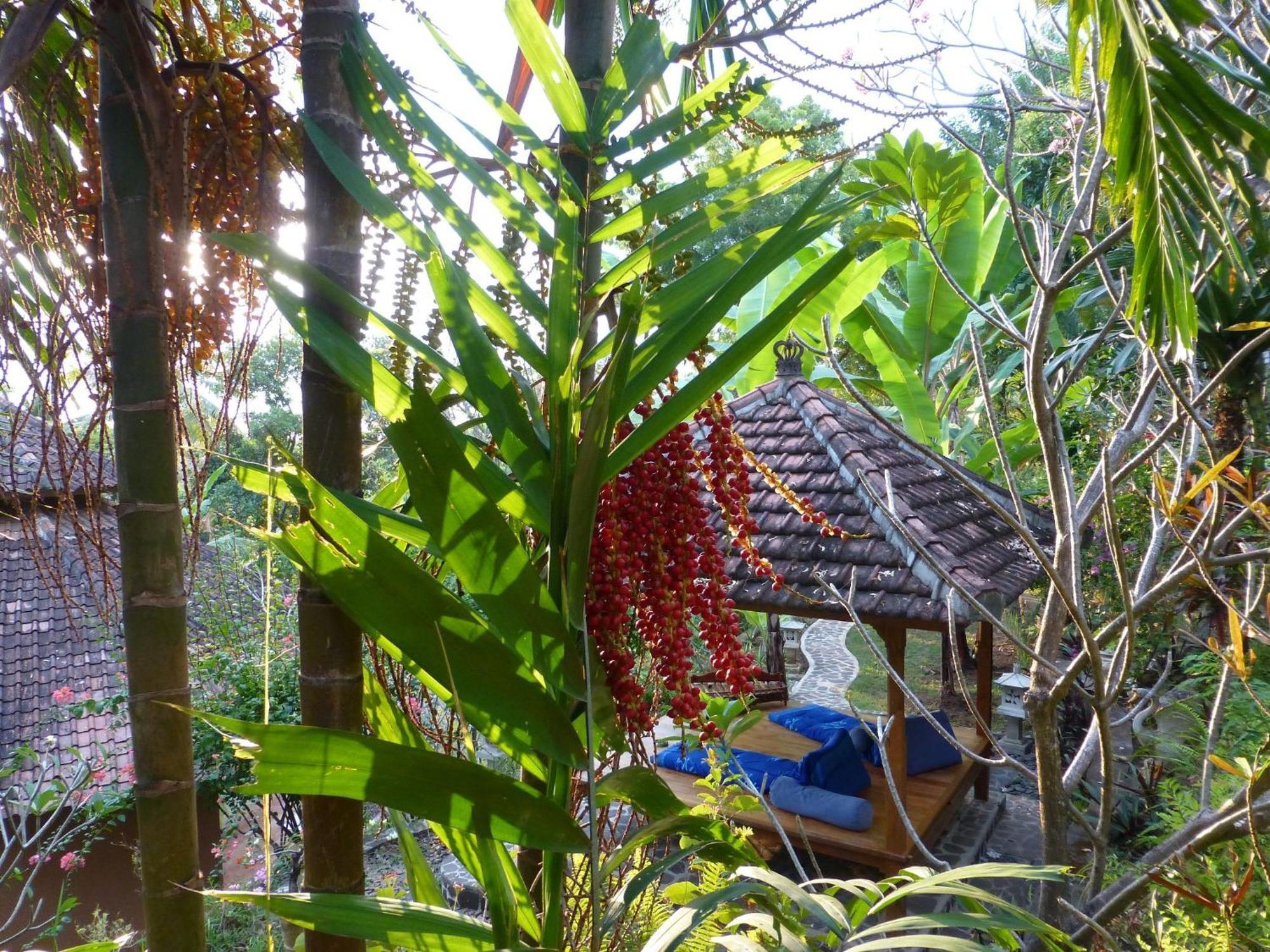 Sananda Bungalow Lovina  Exterior photo