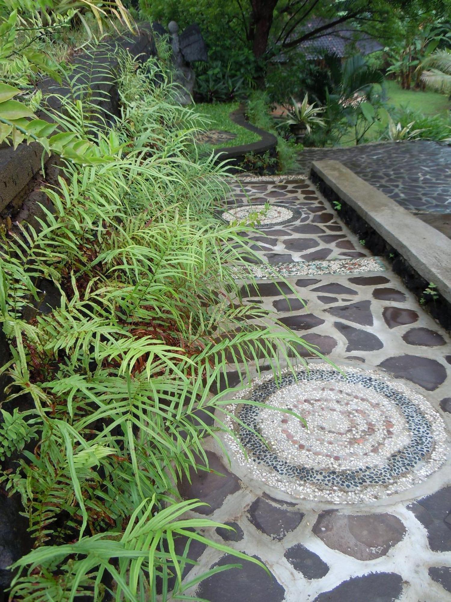 Sananda Bungalow Lovina  Exterior photo